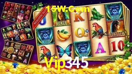 Flash Promotion Vip345